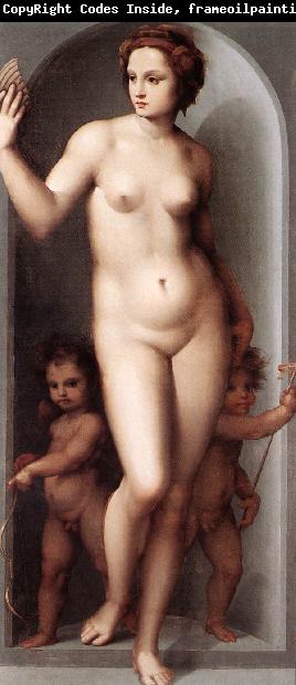 BRESCIANINO, Andrea del Venus and Two Cupids dsf